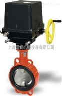 新疆总代理波兰ANDREX安杰诺B-099内法兰中心蝶阀武汉分销